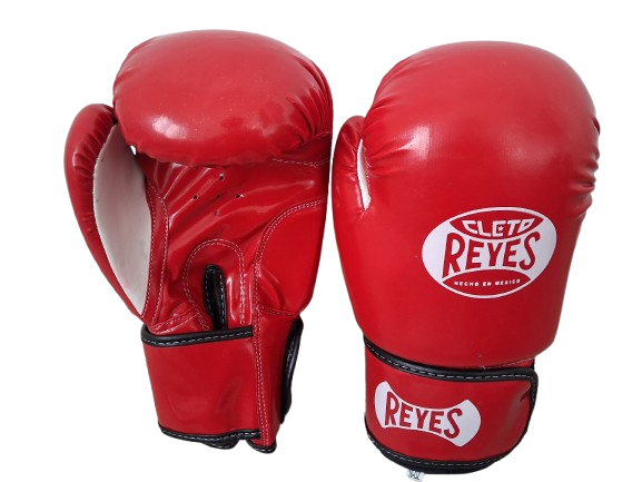 Unisex 10oz/ 14oz/ Leather/ Resin Boxing Gloves, Kickboxing Red/Blue/Tan