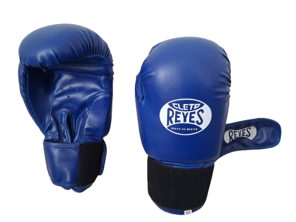 Unisex 10oz/ 14oz/ Leather/ Resin Boxing Gloves, Kickboxing Red/Blue/Tan